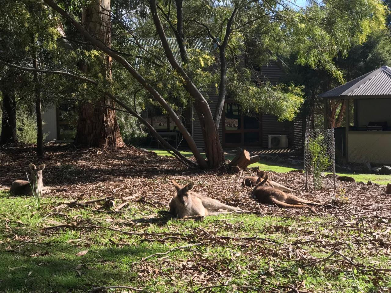 The Lodge Halls Gap